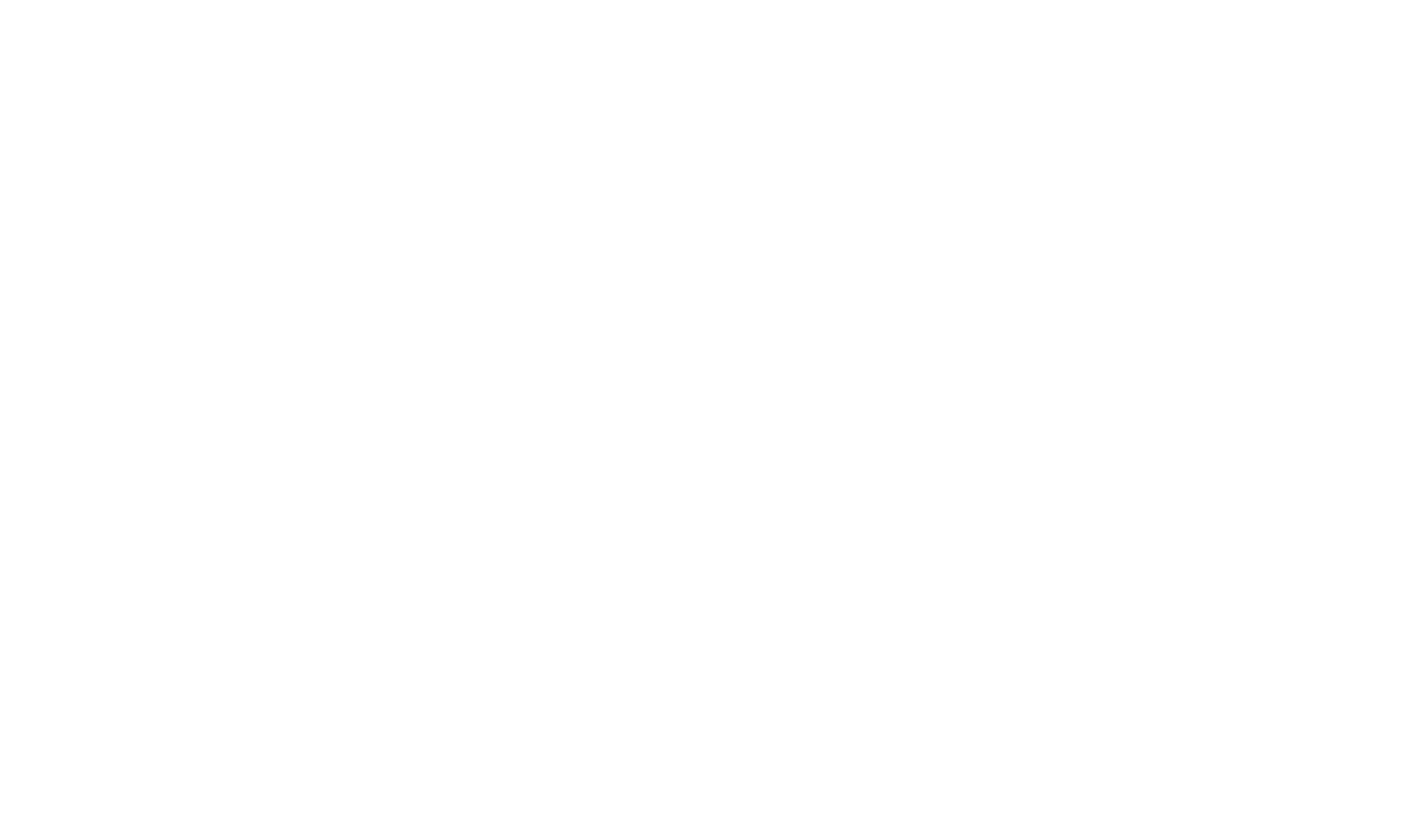 Logo Simon Moser Weiss